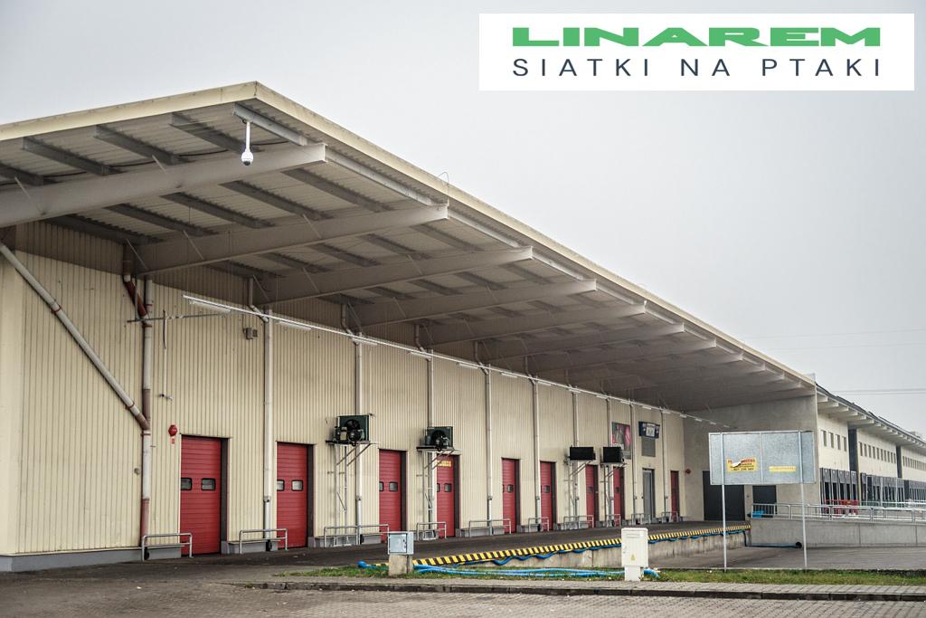 ochrona rampy i hali siatkami na ptaki, siatki na golebie montaz na rampach, zabezpieczenie przed ptactwem siatka przemyslowa