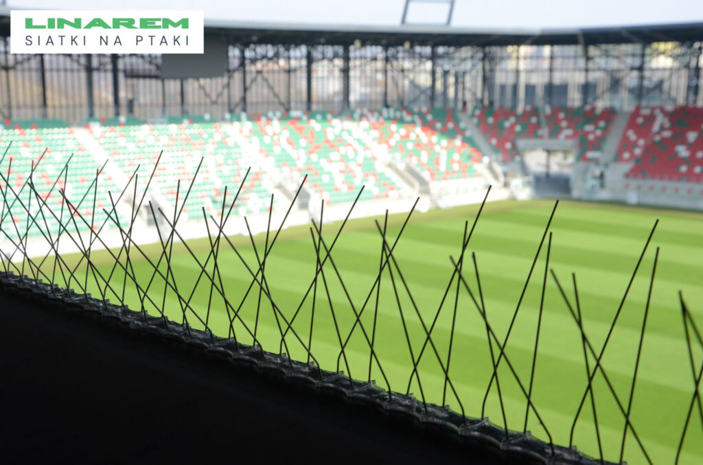 zabezpieczenie trybun przed ptakami, stadion montaż kolców, siatki ochronne na stadion