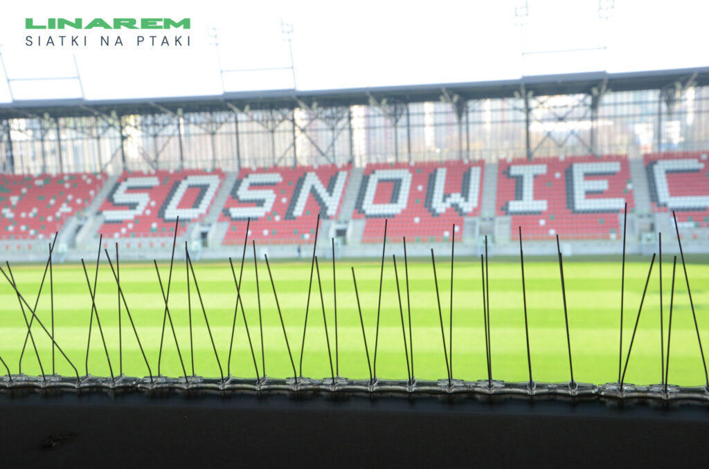 montaż kolców na ptaki stadion, ochrona stadionu przed gołębiami, siatki stadionowe Sosnowiec