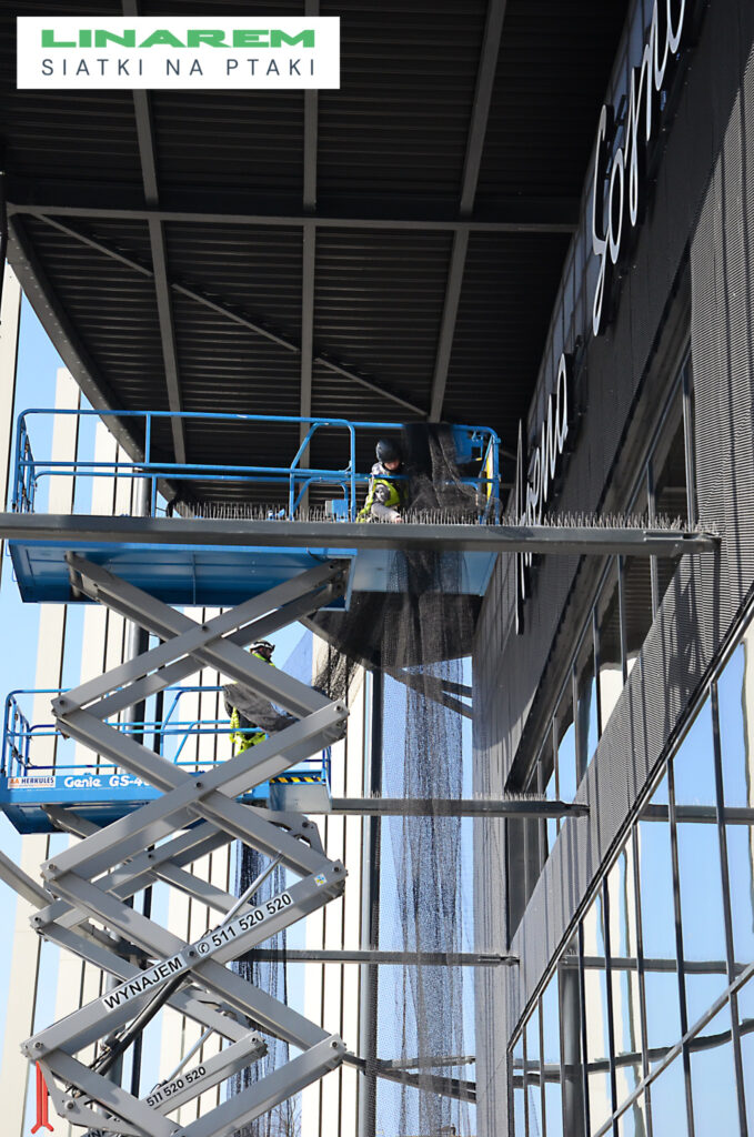 kolce na ptaki stadion, siatki przeciw ptakom stadion, zabezpieczenie stadionu przed ptakami