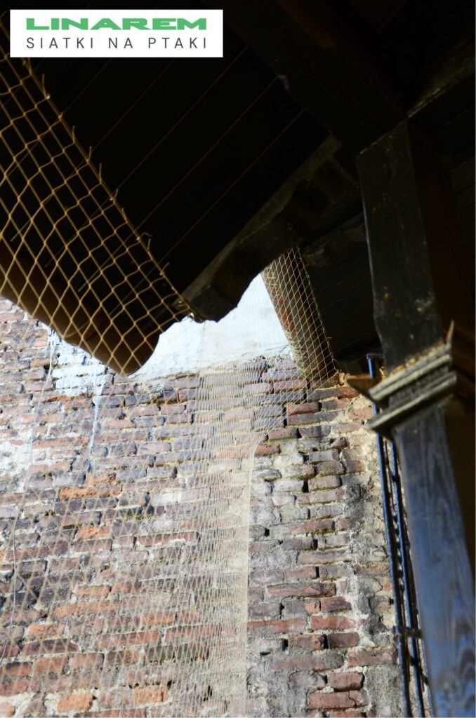 montaz siatek balkon krakow, siatki przeciw golebiom krakow, ochrona ptaki krakow