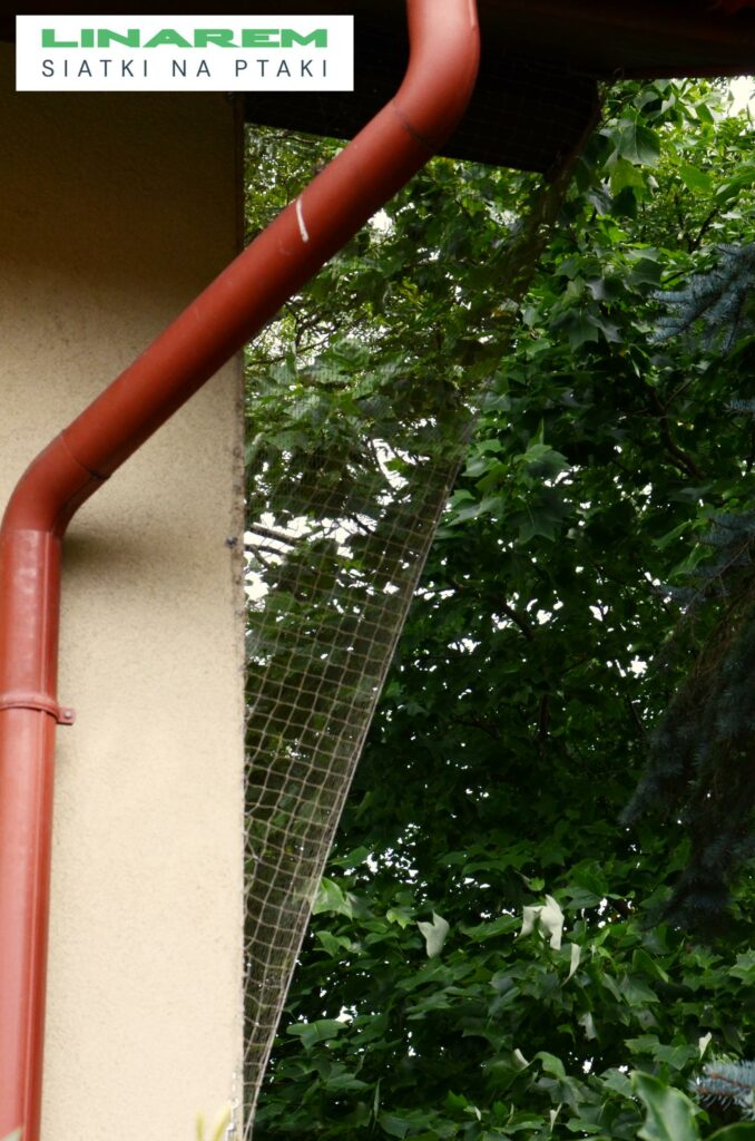 siatka przeciw jaskolkom krakow, montaz zabezpieczenia elewacji krakow, ochrona budynku przed jaskolkami