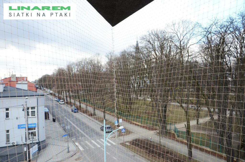 montaz siatki na ptaki dlugi balkon czestochowa, ochrona ostatniego pietra siatka, siatki balkonowe akademia polonijna