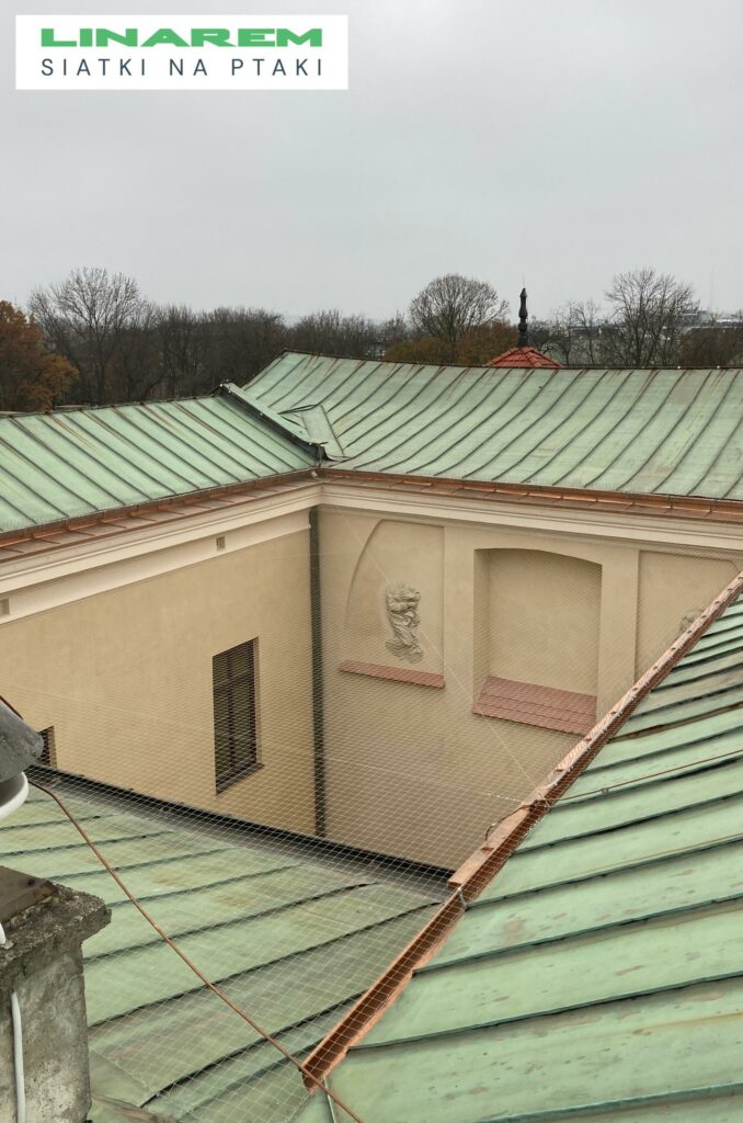 montaz siatki na ptaki dach muzeum archeologiczne, zabezpieczenie obiektu publicznego, siatka przeciw ptakom pozioma, ochrona muzeum
