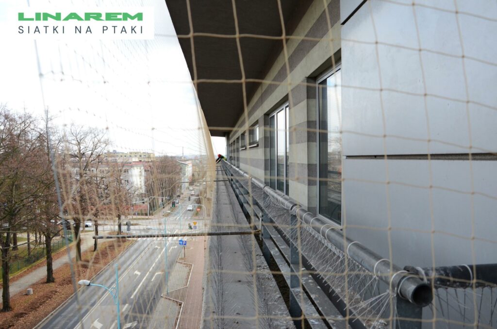 montaz siatki na ptaki gzyms czestochowa, zabezpieczenie krawedzi dachu, siatki przeciw ptakom uczelnia