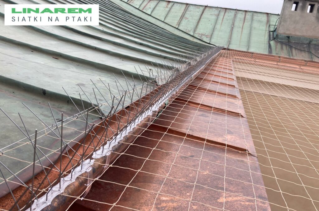 siatka przeciw ptakom nad dachem muzeum archeologiczne, montaz siatki na ptaki, zabezpieczenie muzeum przed ptakami, osiatkowanie obiektu