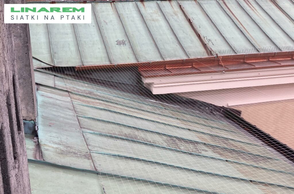 zabezpieczenie dachu muzeum siatka przeciw ptakom, montaz siatki poziomej na ptaki, osiatkowanie budynku muzeum, ochrona przed ptakami