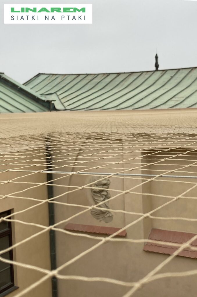 zabezpieczenie muzeum archeologicznego, montaz siatki przeciw ptakom, osiatkowanie dachu muzeum, ochrona obiektu publicznego