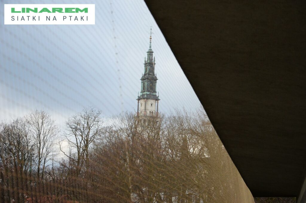 siatka na ptaki przy attyce czestochowa, montaz siatek na ptaki dach, ochrona ostatniego pietra