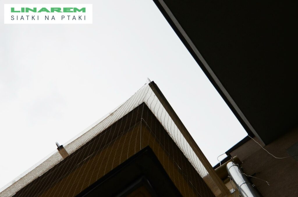 siatki przeciw ptakom krakow montaz, zabezpieczenie balkonu przed ptakami, osiatkowanie balkonu szpital krakow, montaz siatek na ptaki
