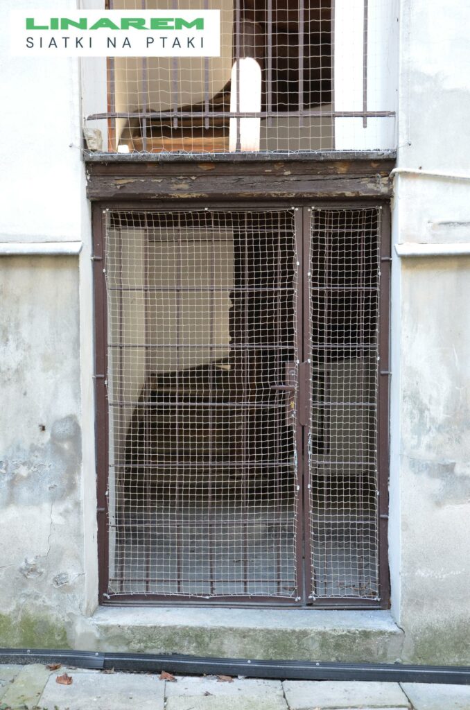 drzwi z siatki montaz krakow, zabezpieczenie dolnych czesci budynku przed ptakami, siatki sobieskiego 10