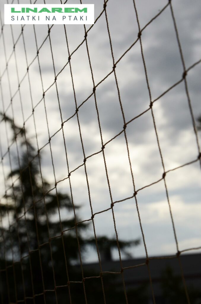 montaz siatek na ptaki krakow, siatki na gzymsy przeciw ptakom, zabezpieczenie ptaki krakow, osiatkowanie elewacji krakow
