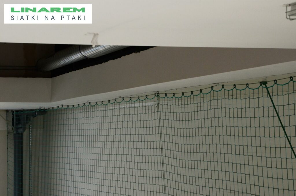 instalacja pilkochwytu bochnia, siatka na ptaki hala, zabezpieczenie hali przemyslowej