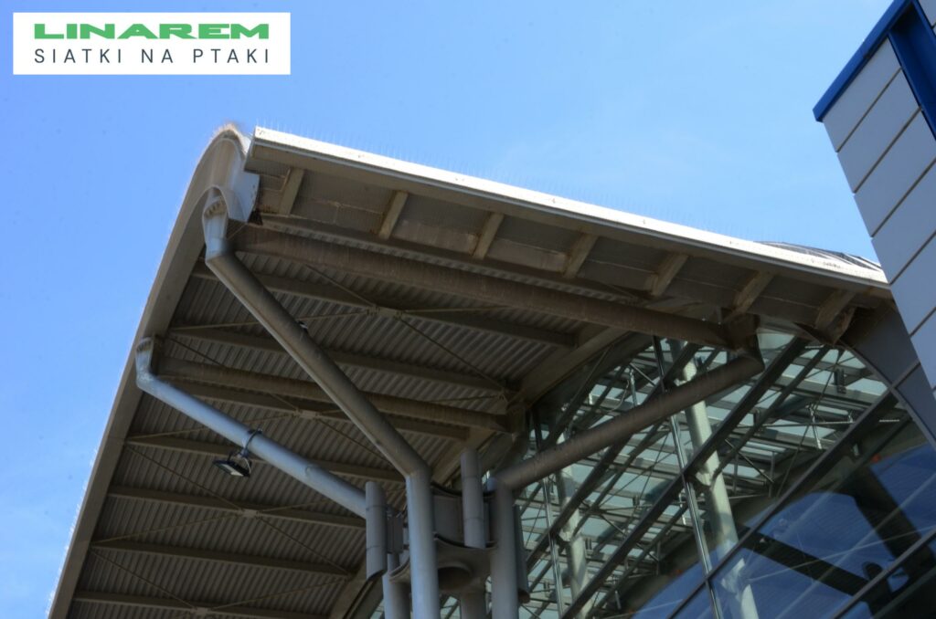 montaz siatek na ptaki kielce, siatki na ptaki montaz hala, zabezpieczenie targow przed ptakami, osiatkowanie kielce