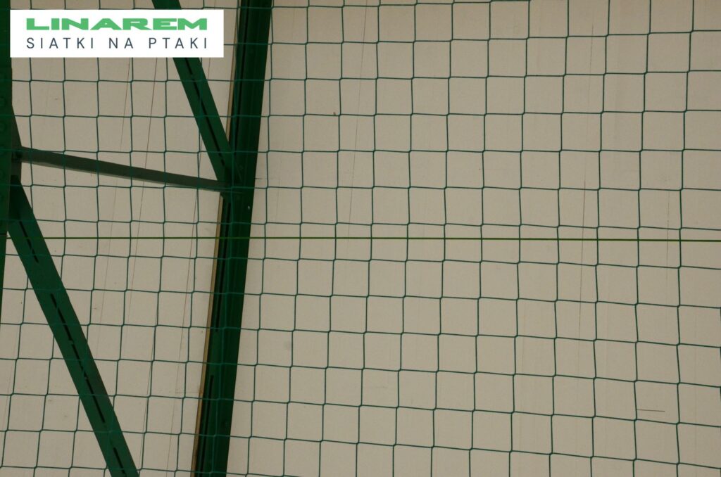 pilkochwyt montaz bochnia, siatka przeciw ptakom hala, zabezpieczenie poddasza siatka