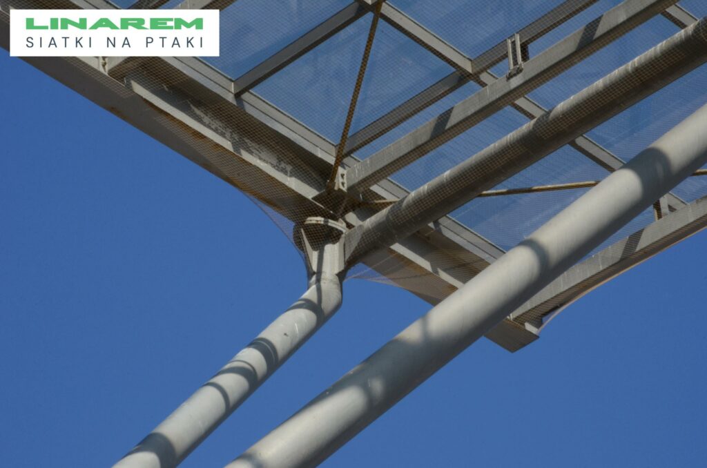 siatki na ptaki hala kielce montaz, zabezpieczenie obiektu targowego ptaki, osiatkowanie konstrukcji dachowej kielce, siatki przeciw ptakom