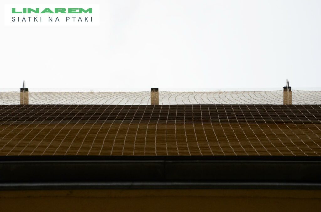 osiatkowanie balkonu krakow, siatki przeciw ptakom montaz krakow, zabezpieczenie szpitala siatka, montaz siatki na ptaki balkon