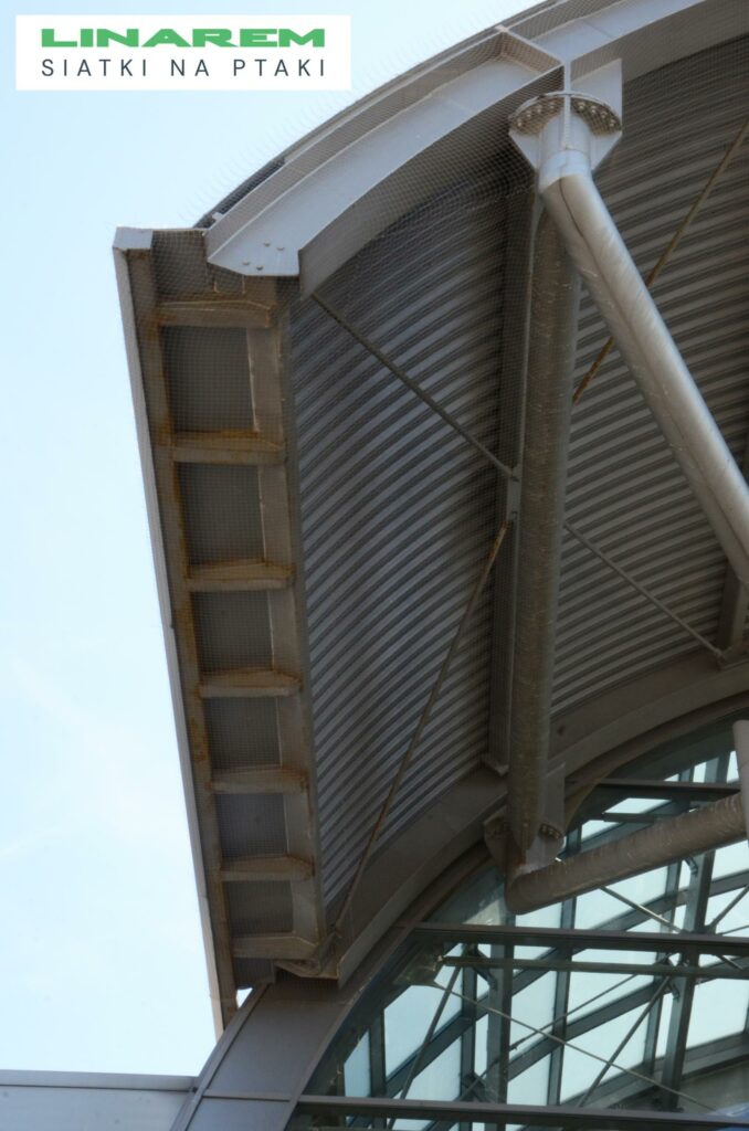 osiatkowanie hali targowej kielce, montaz siatek przeciw ptakom, zabezpieczenie ptaki hala targowa, siatka na ptaki kielce montaz