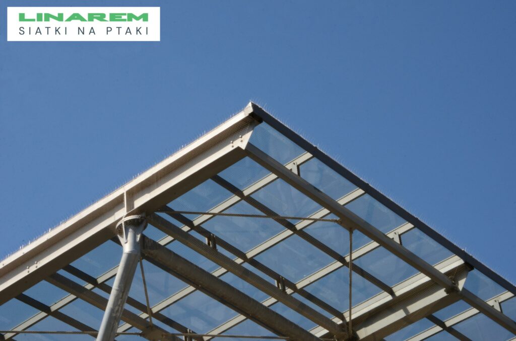 osiatkowanie hali kielce, siatki ochronne przeciw ptakom, montaz siatek na ptaki kielce, zabezpieczenie ptaki hala
