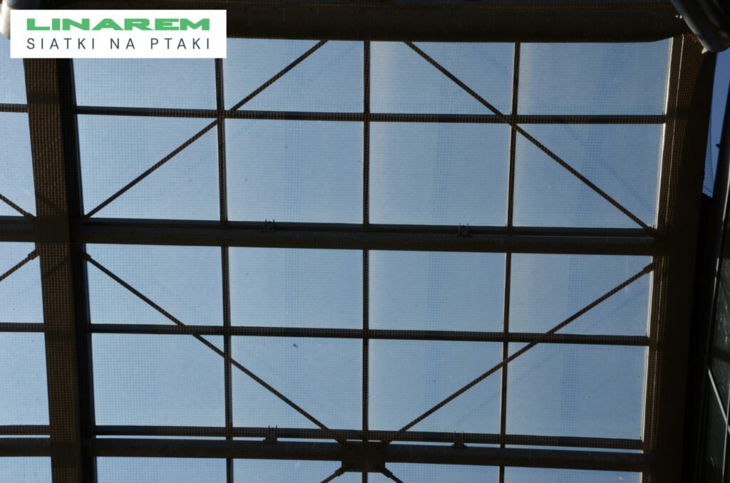 siatki na ptaki kielce montaz, osiatkowanie stropu hali, zabezpieczenie ptaki obiekt targowy, montaz siatki przeciw ptakom kielce