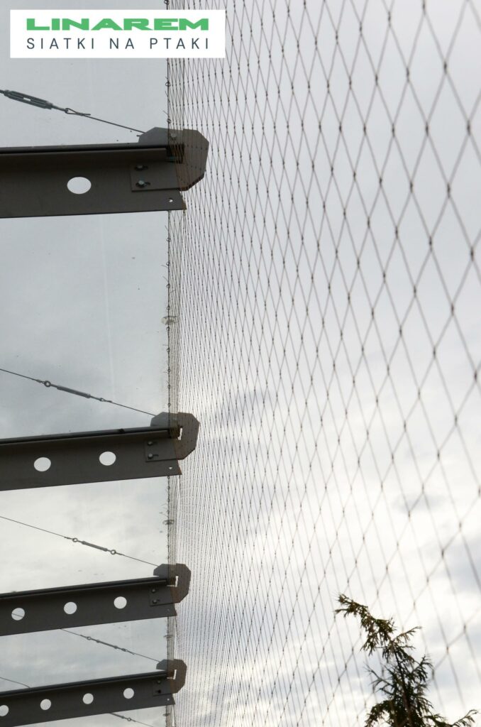 osiatkowanie budynku krakow, zabezpieczenie ptaki krakow, montaz siatek przeciw ptakom szpital, siatka na ptaki krakow montaz