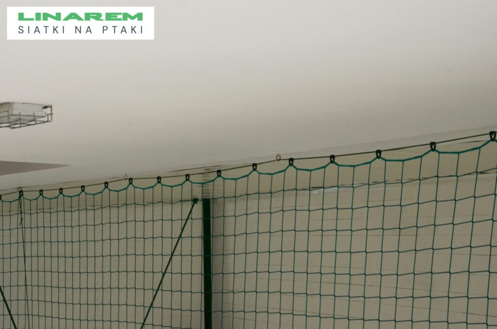 pozioma siatka pilkochwyt bochnia, zabezpieczenie hali przeciw ptakom, montaz siatki ochronnej