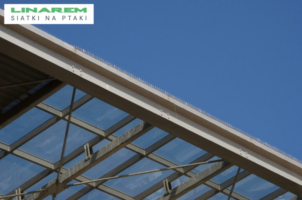 siatka przeciw ptakom montaz kielce, zabezpieczenie dachu targi kielce, osiatkowanie obiektu wystawowego, siatki na ptaki hala