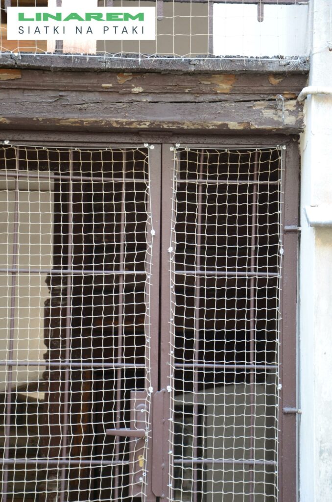 siatki na ptaki krakow wejscie, drzwi siatkowe zabezpieczenie, montaz siatki przeciw ptakom