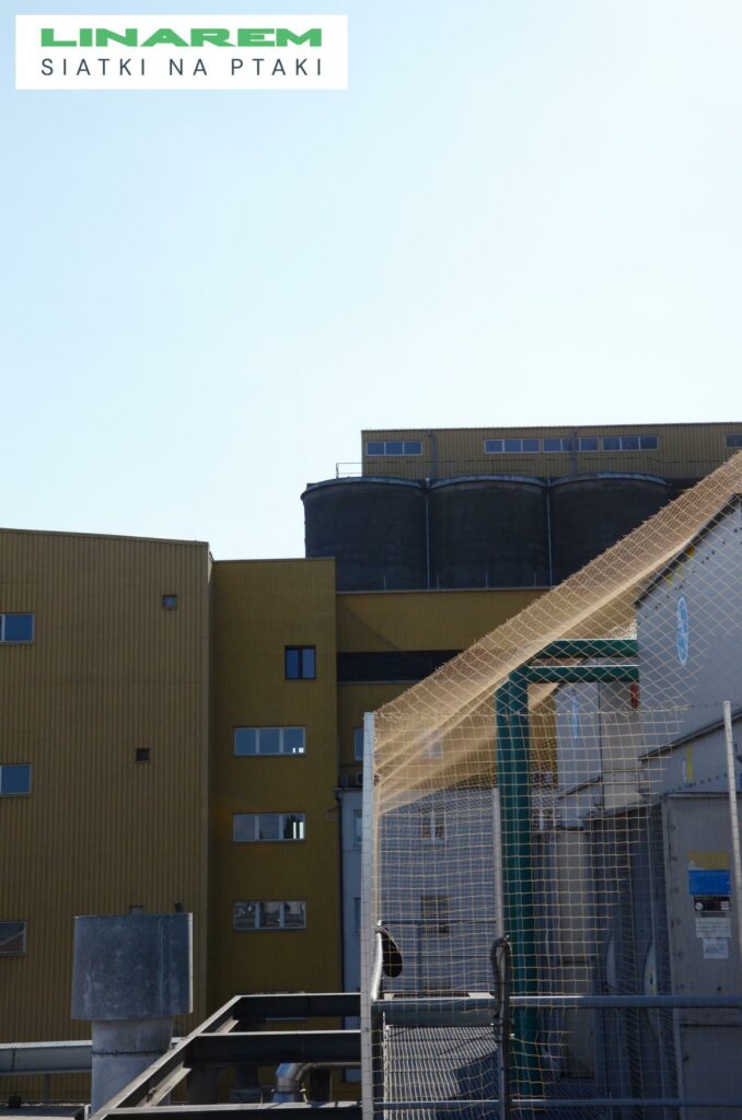 montaz siatek na ptaki sierpc, siatki ochronne fabryka, zabezpieczenie ptakami zaklad przemyslowy