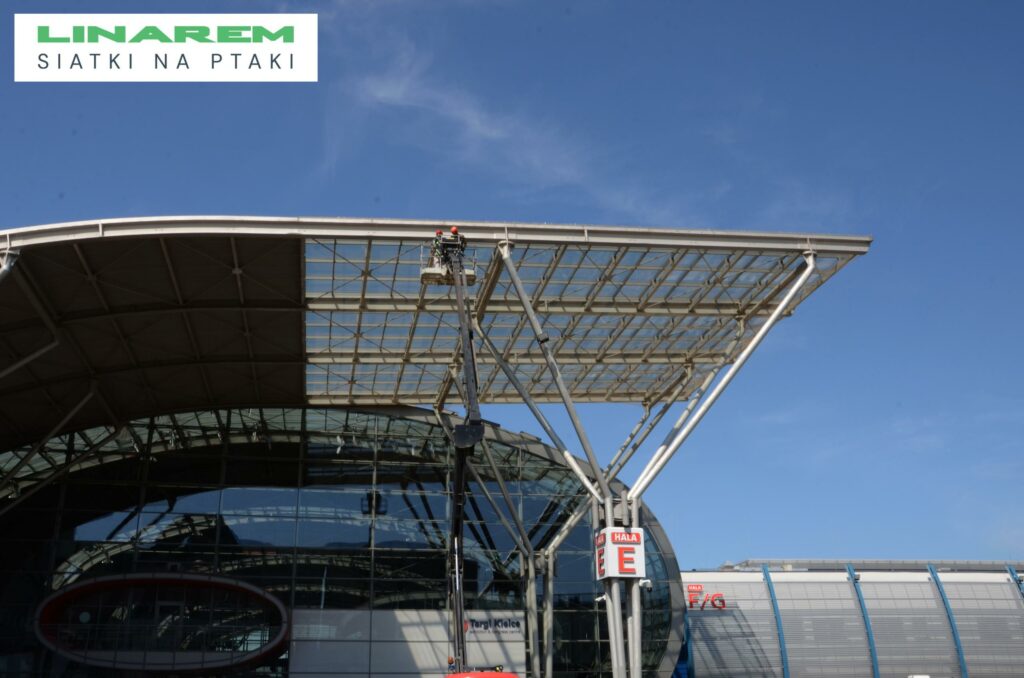 siatki przeciw ptakom hala kielce, montaz siatki na ptaki kielce, zabezpieczenie obiektu targowego przed golebiami, siatki ochronne kielce