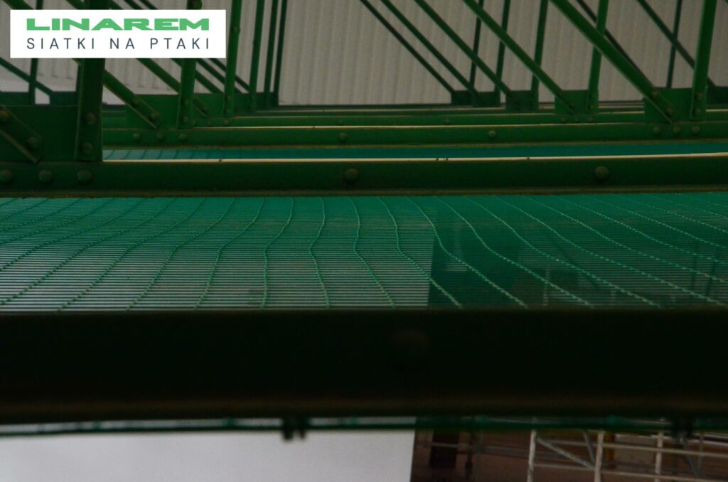 siatka przeciw ptakom bochnia, pozioma siatka na ptaki
