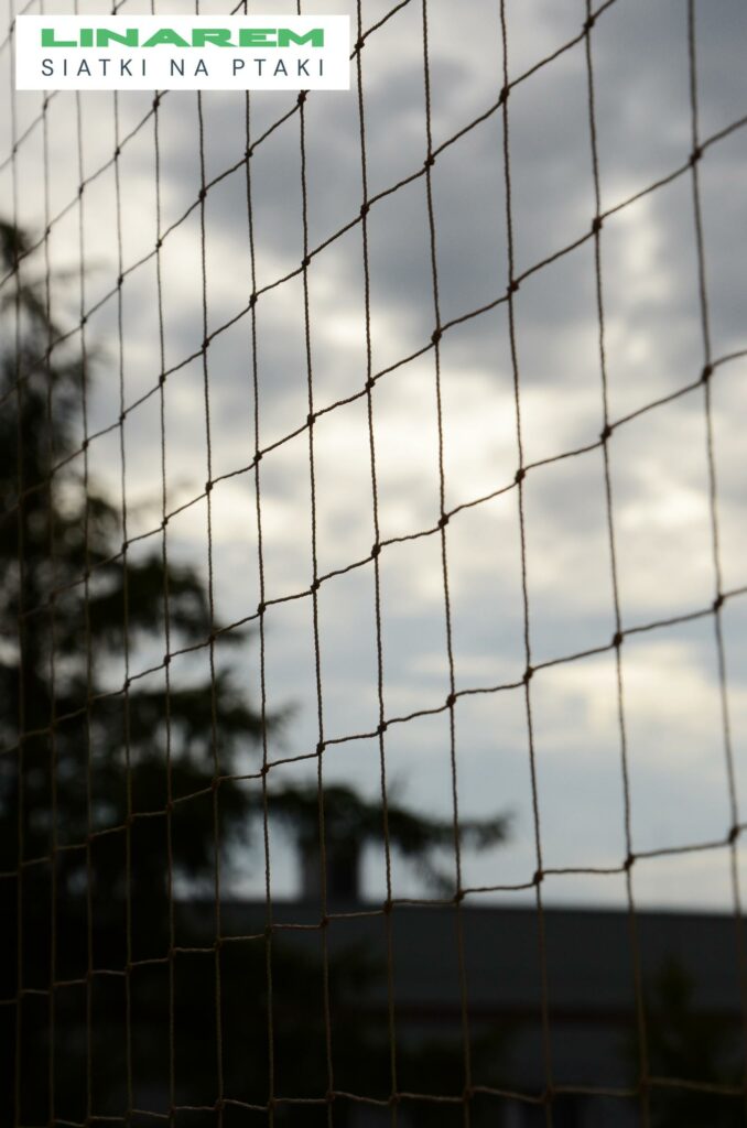 siatki przeciw ptakom krakow montaz, zabezpieczenie budynku szpitalnego siatka, montaz siatek na golebie krakow, siatki na ptaki szpital