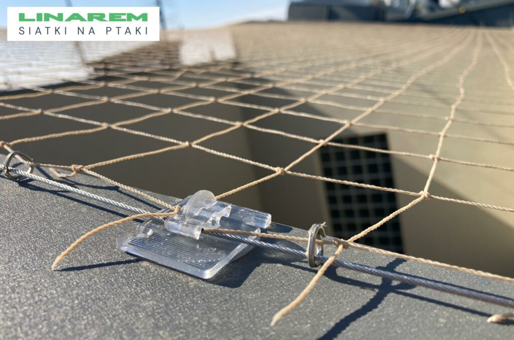 bezinwazyjny montaz siatek przeciw ptakom krakow, siatka na patio krakow, montaz zabezpieczen krakow